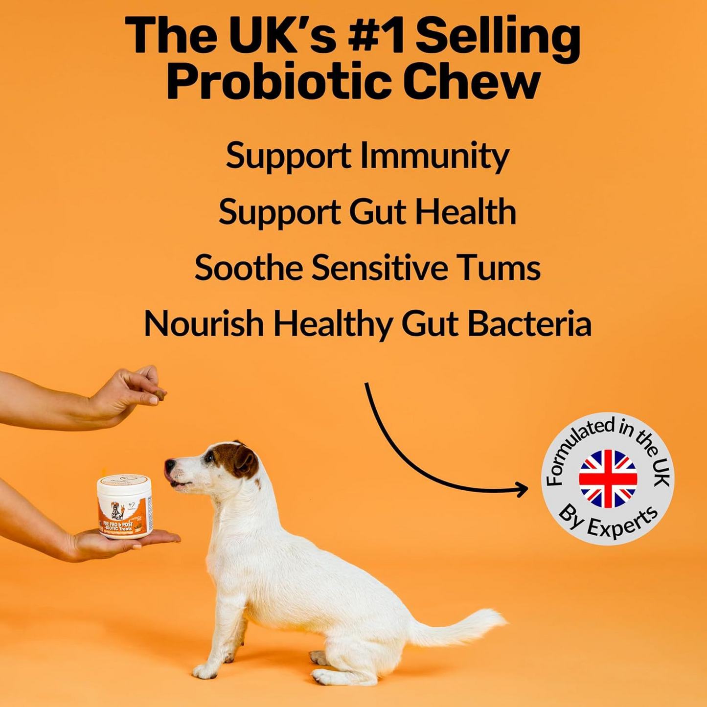 PV Prebiotic Chews