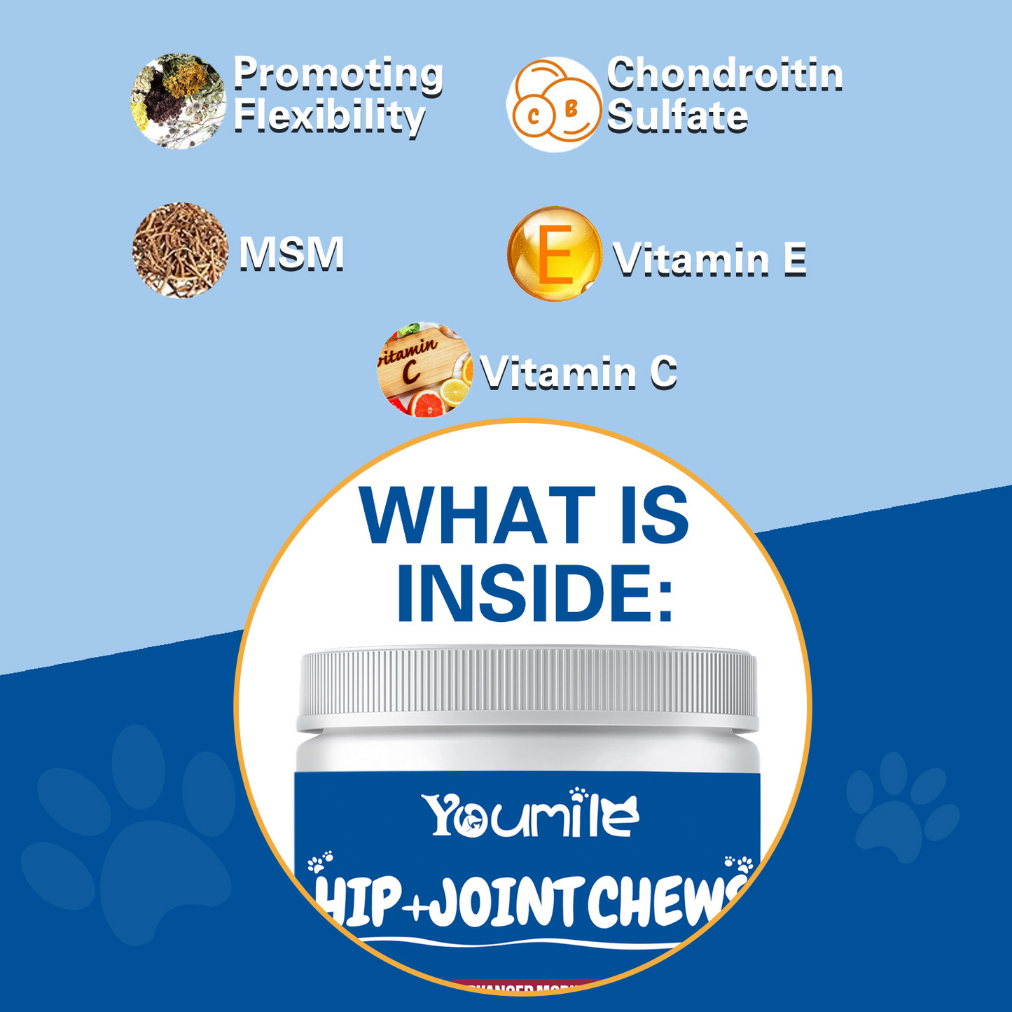 PV Hip + Joint Chews