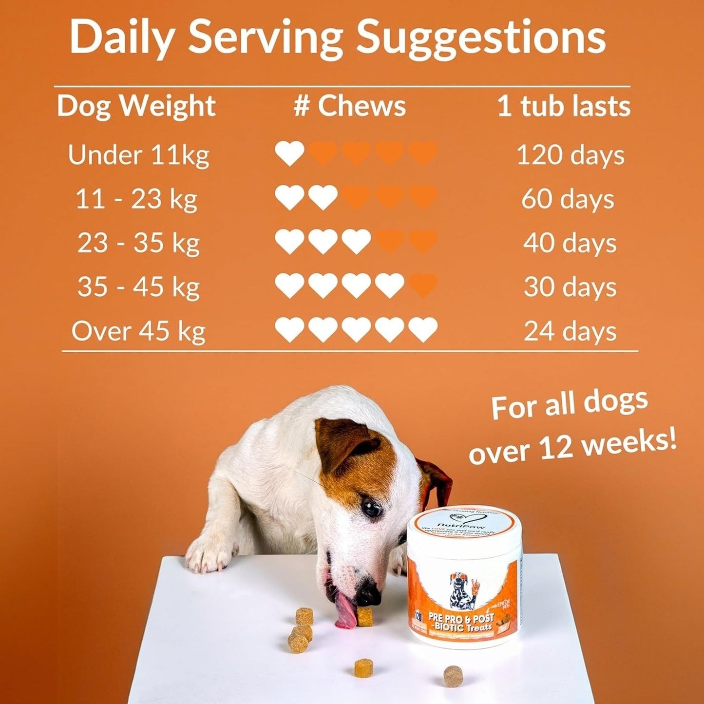 PV Prebiotic Chews