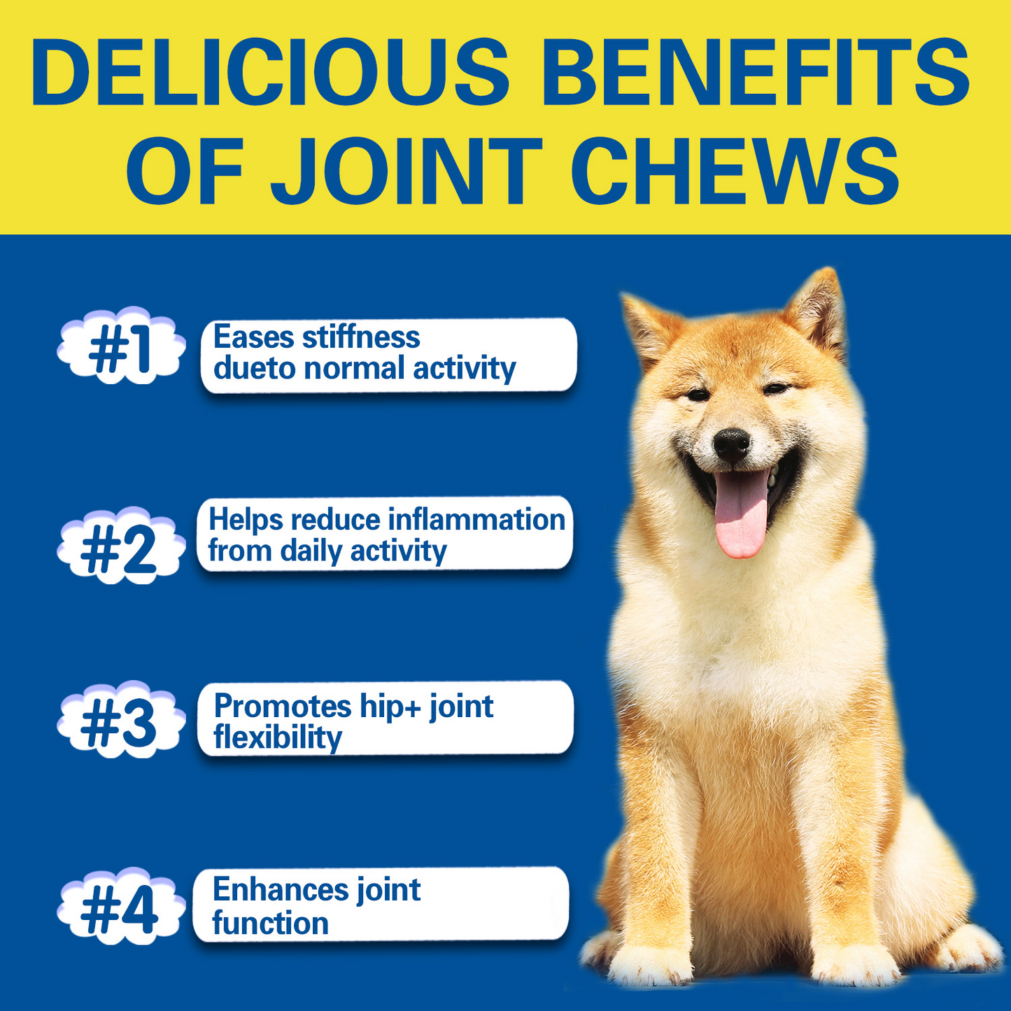 PV Hip + Joint Chews