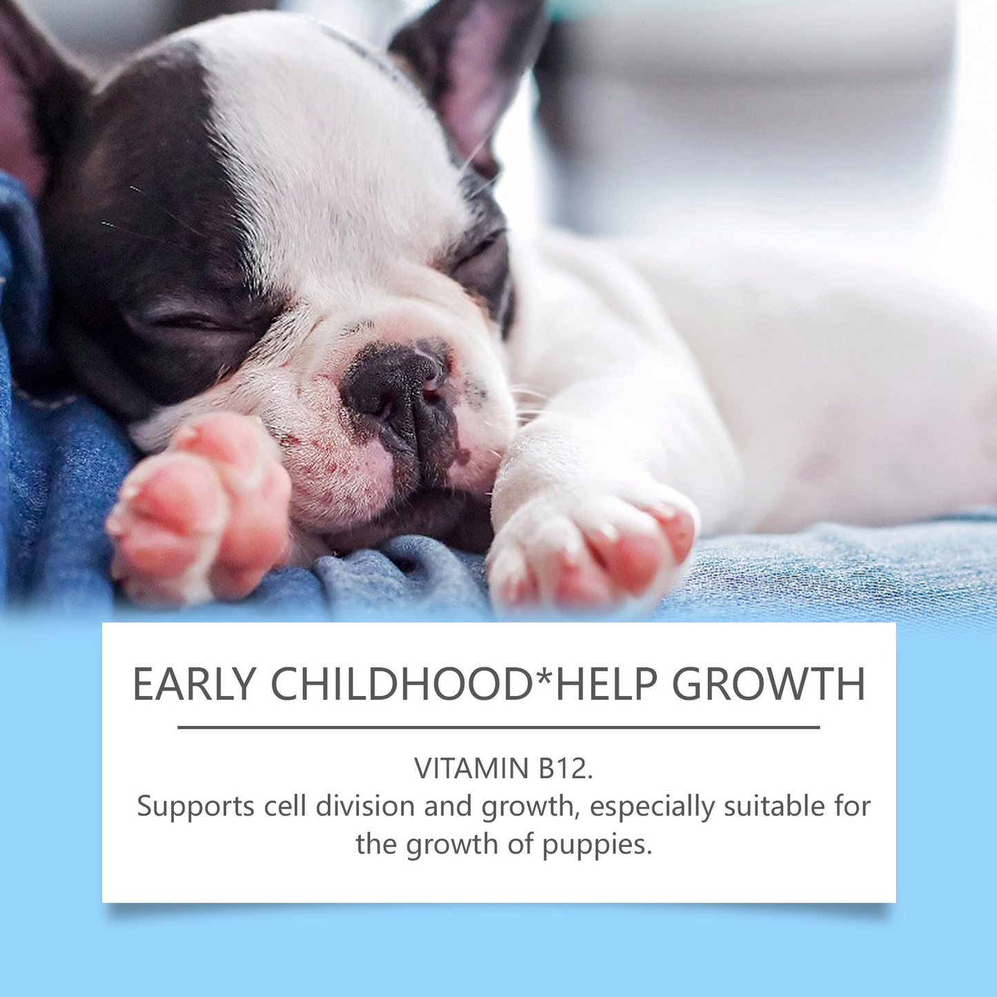 PV Vitamin Chews