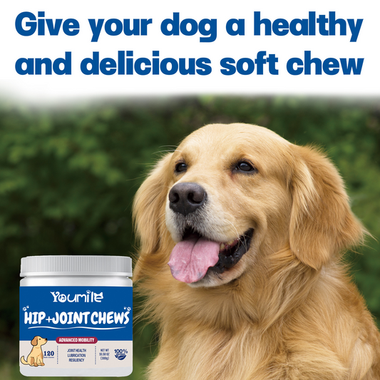 PV Hip + Joint Chews