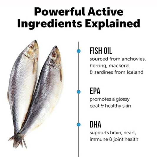 PV Omega-3 Fish Oil
