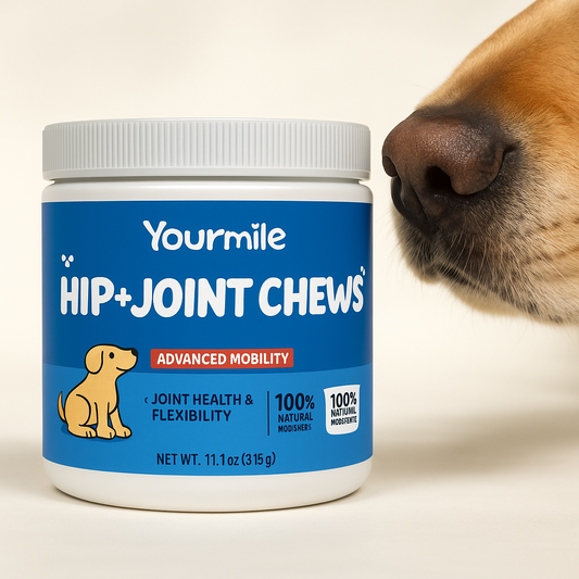 PV Hip + Joint Chews