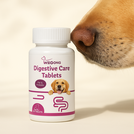 PV Probiotic Chews