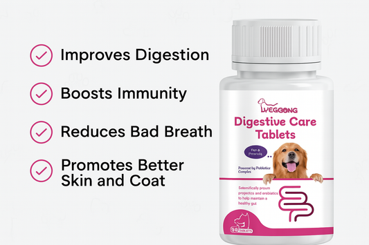 PV Probiotic Chews