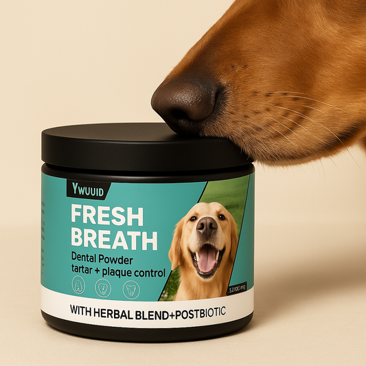 PV Dental Powder