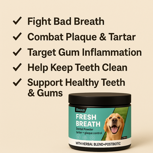 PV Dental Powder